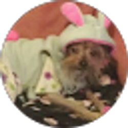 Profile photo of trina bostic