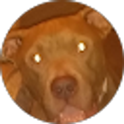 Profile photo of Bo French