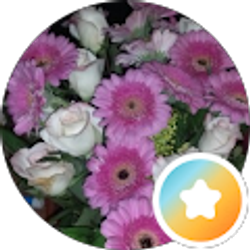 Profile photo of Cynthia Belew