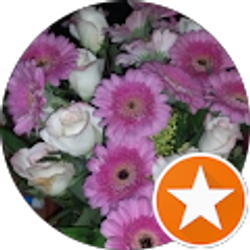 Profile photo of Cynthia Belew