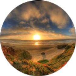 Profile photo of Laura B