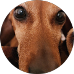 Profile photo of Reyna Villacorta