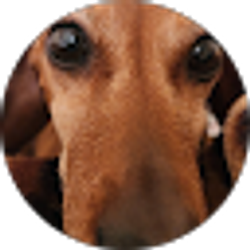 Profile photo of Reyna Villacorta