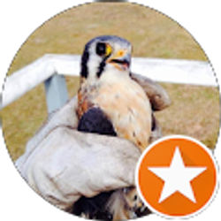 Profile photo of Rick King