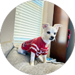 Profile photo of stacy bunyan