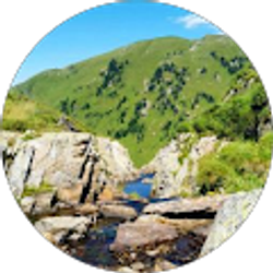 Profile photo of Cartier Johnson