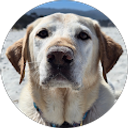 Profile photo of CL Canevari