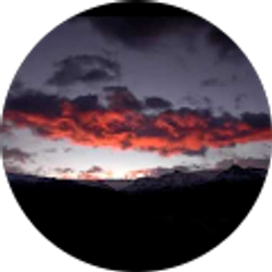 Profile photo of Michael Flaherty