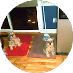 Profile photo of daniel criswell