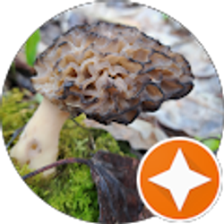 Profile photo of Jack