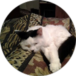 Profile photo of Jean N