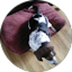 Profile photo of Connie Mullis