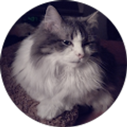 Profile photo of Christine DiCurti