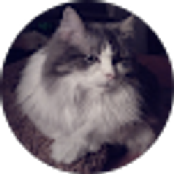 Profile photo of Christine DiCurti