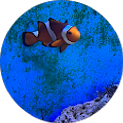 Profile photo of kevin zapata