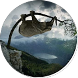 Profile photo of S4kneer