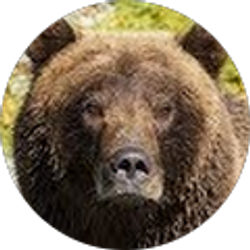 Profile photo of Janet Williams