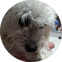 Profile photo of Gary