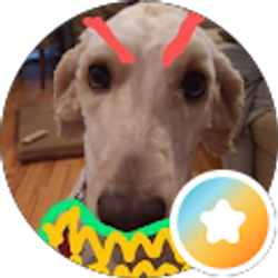 Profile photo of David S