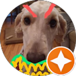 Profile photo of David S