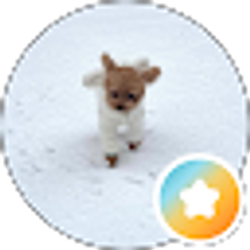 Profile photo of boo