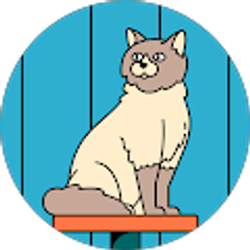 Profile photo of Cindy Boydston