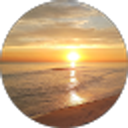 Profile photo of Stacey Lee