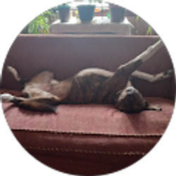 Profile photo of Laura Sulko