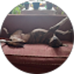 Profile photo of Laura Sulko