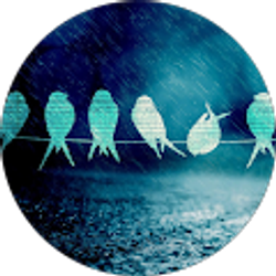 Profile photo of Kayla Canessa