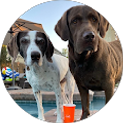 Profile photo of Teri Hembree