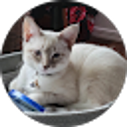 Profile photo of Terrie Greene