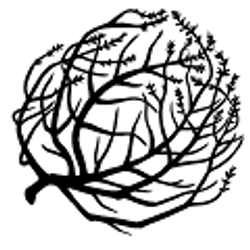 Profile photo of Emily Nava