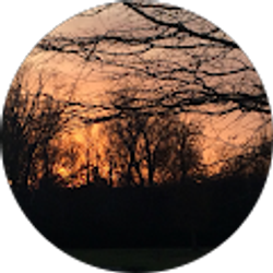 Profile photo of Trevor Brewton