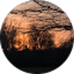 Profile photo of Trevor Brewton