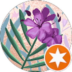 Profile photo of Sara Stephenson