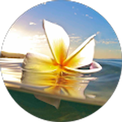 Profile photo of Hannah Sauer