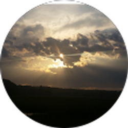 Profile photo of Celeste Brissette