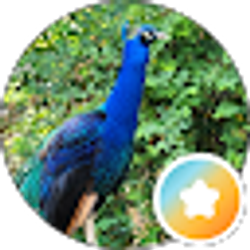 Profile photo of Caye C