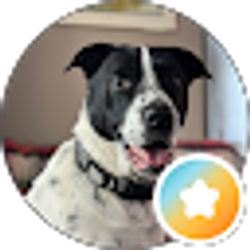 Profile photo of Jordan