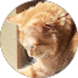 Profile photo of Maison