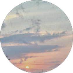 Profile photo of M Pete