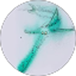 Profile photo of Q Winters