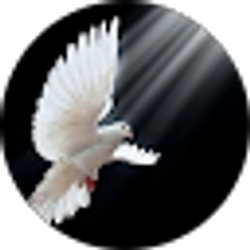 Profile photo of Audren Foster