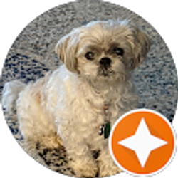 Profile photo of Christine Douglass