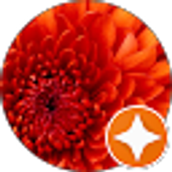 Profile photo of P Love