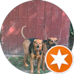 Profile photo of Shane Comings