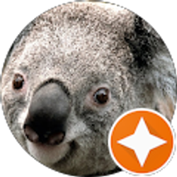 Profile photo of Nancey Dorner