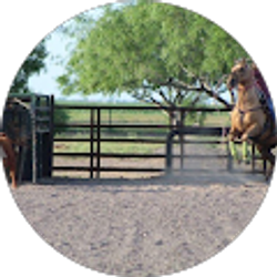 Profile photo of Roslyn Conde