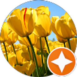 Profile photo of Julie Holmes